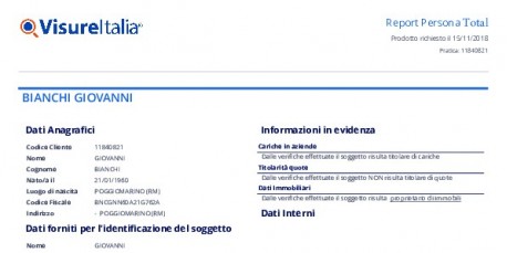 Report Persona Total