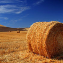 Qual è la legenda dei termini per i terreni agricoli?