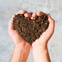 Imu terreni: quando è fissata la scadenza?