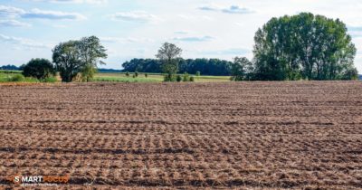 Reddito dominicale e reddito agrario dei terreni: le differenza