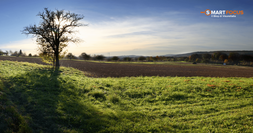 Prelazione agraria per l’affittuario: come funziona?