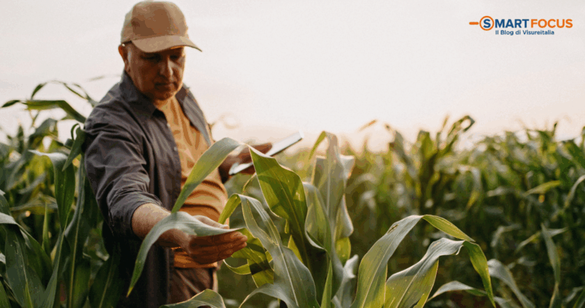 Visure per agronomi: servizi e modalità di richiesta